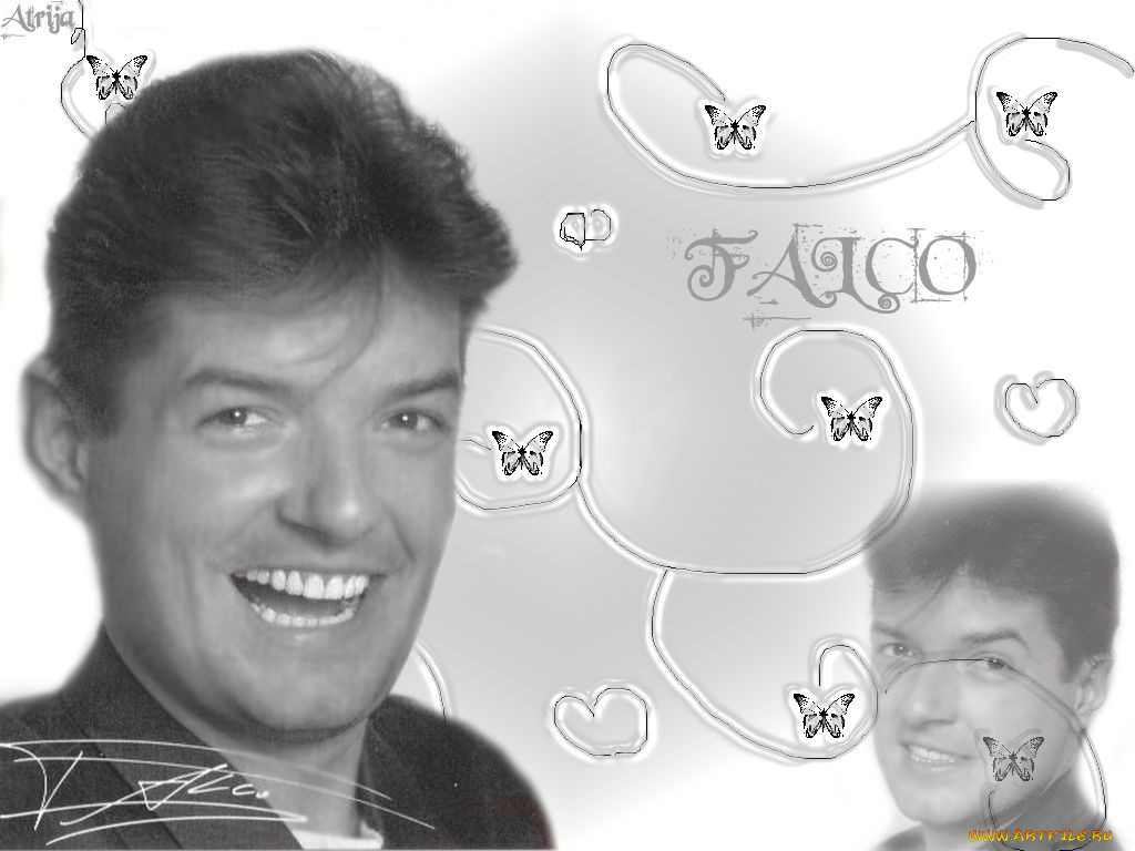 falco, 